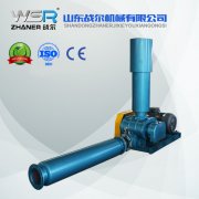 WSR-150石油行業(yè)專用羅茨風(fēng)機(jī)